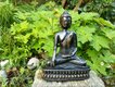Buddha's