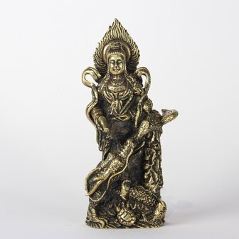 Kwan yin Hong 7.8 cm