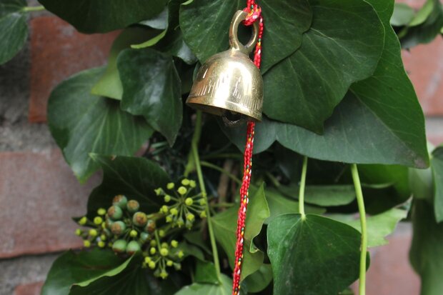 Bell string 5 bells, max. 35 mm